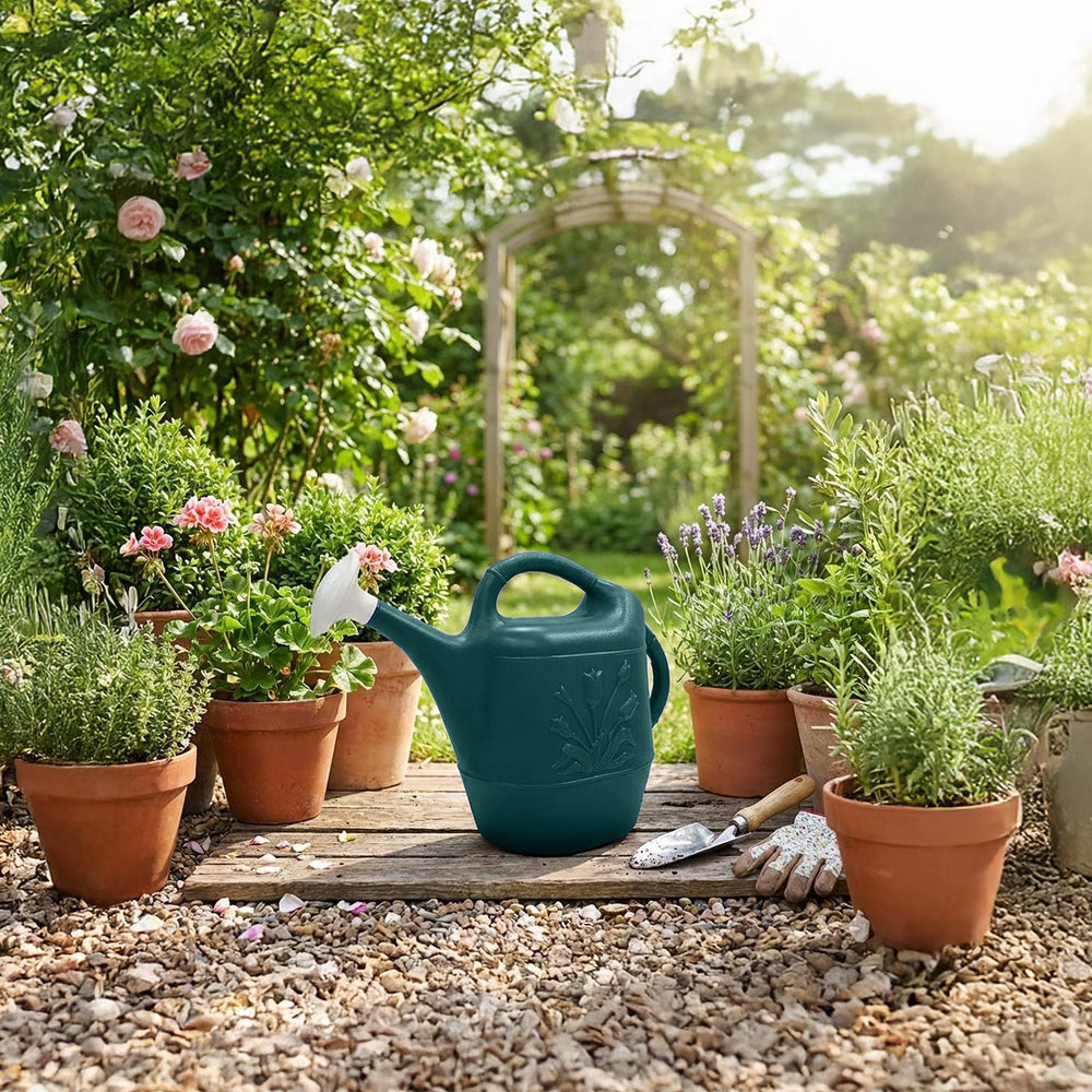 Union Products 2 Gallon Watering Can next to potted houseplants