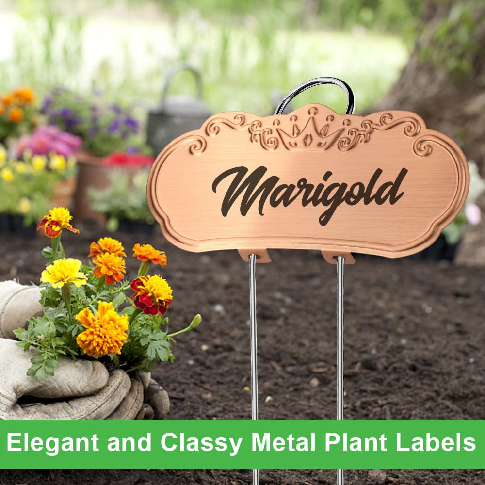 Unique artistic design of TCYPUHL plant label