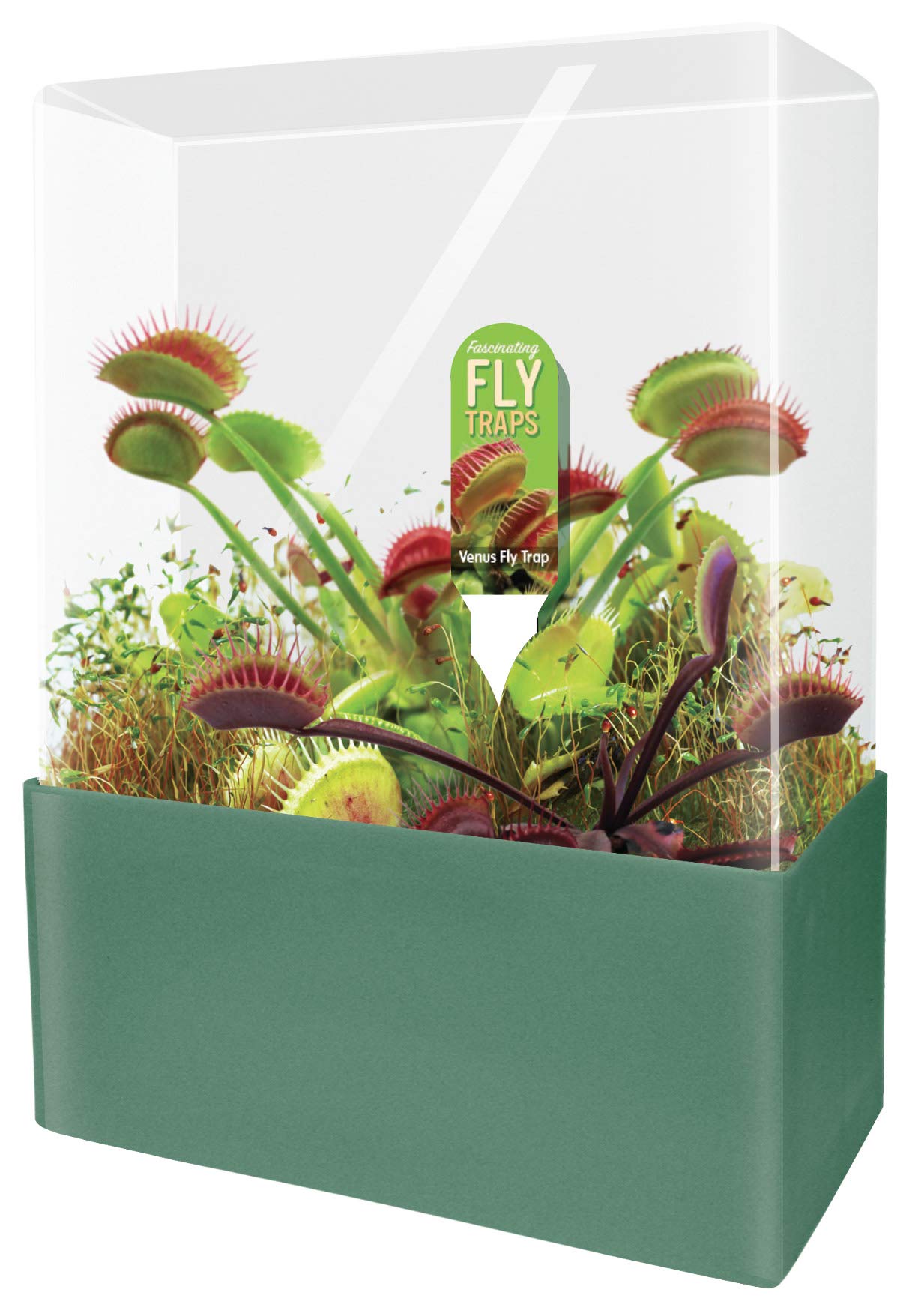 Unique Gardener Venus Fly Trap Starter Kit front view