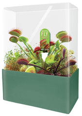 Unique Gardener Venus Fly Trap Starter Kit front view