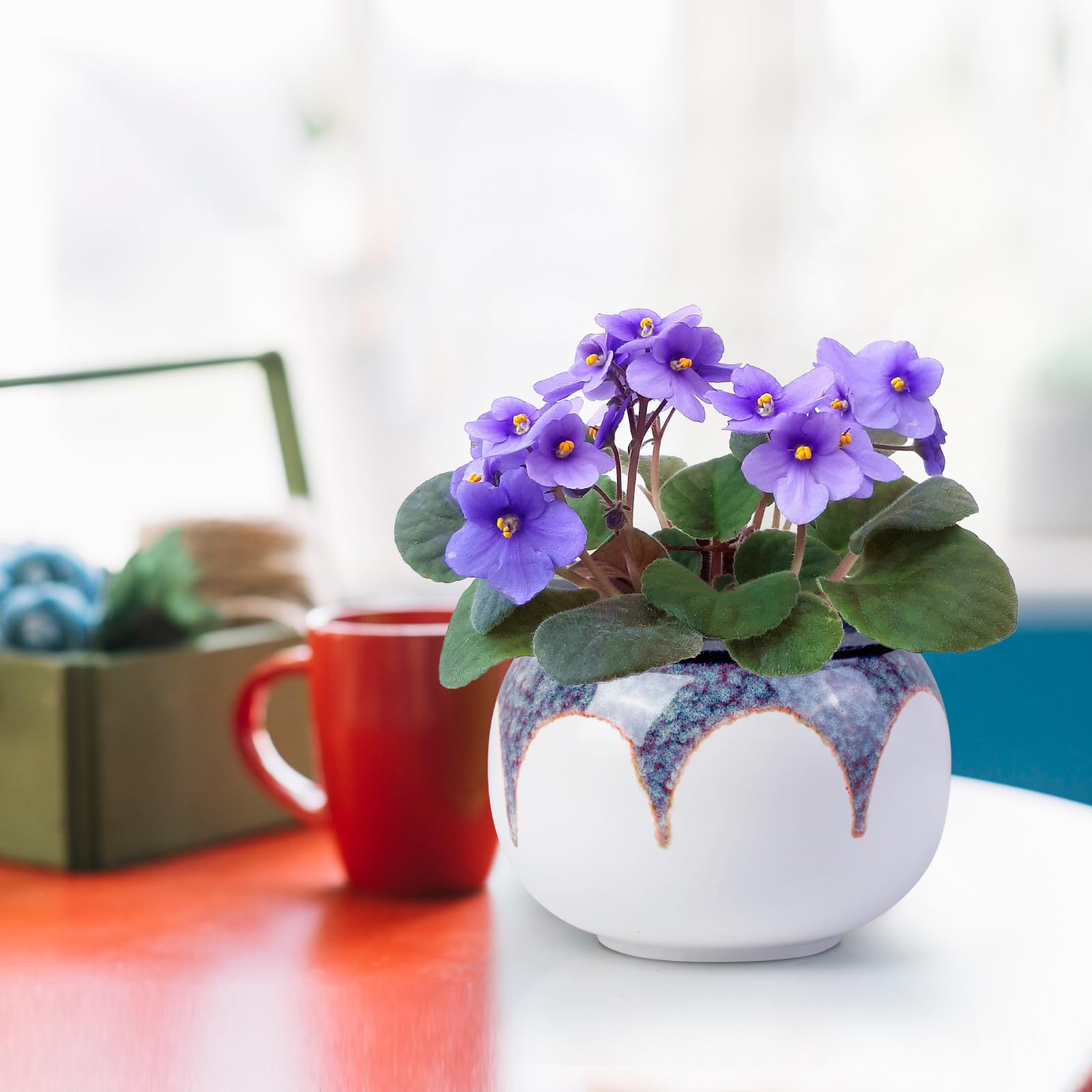 Unique glaze design on LITUDISO Self Watering African Violet Pot