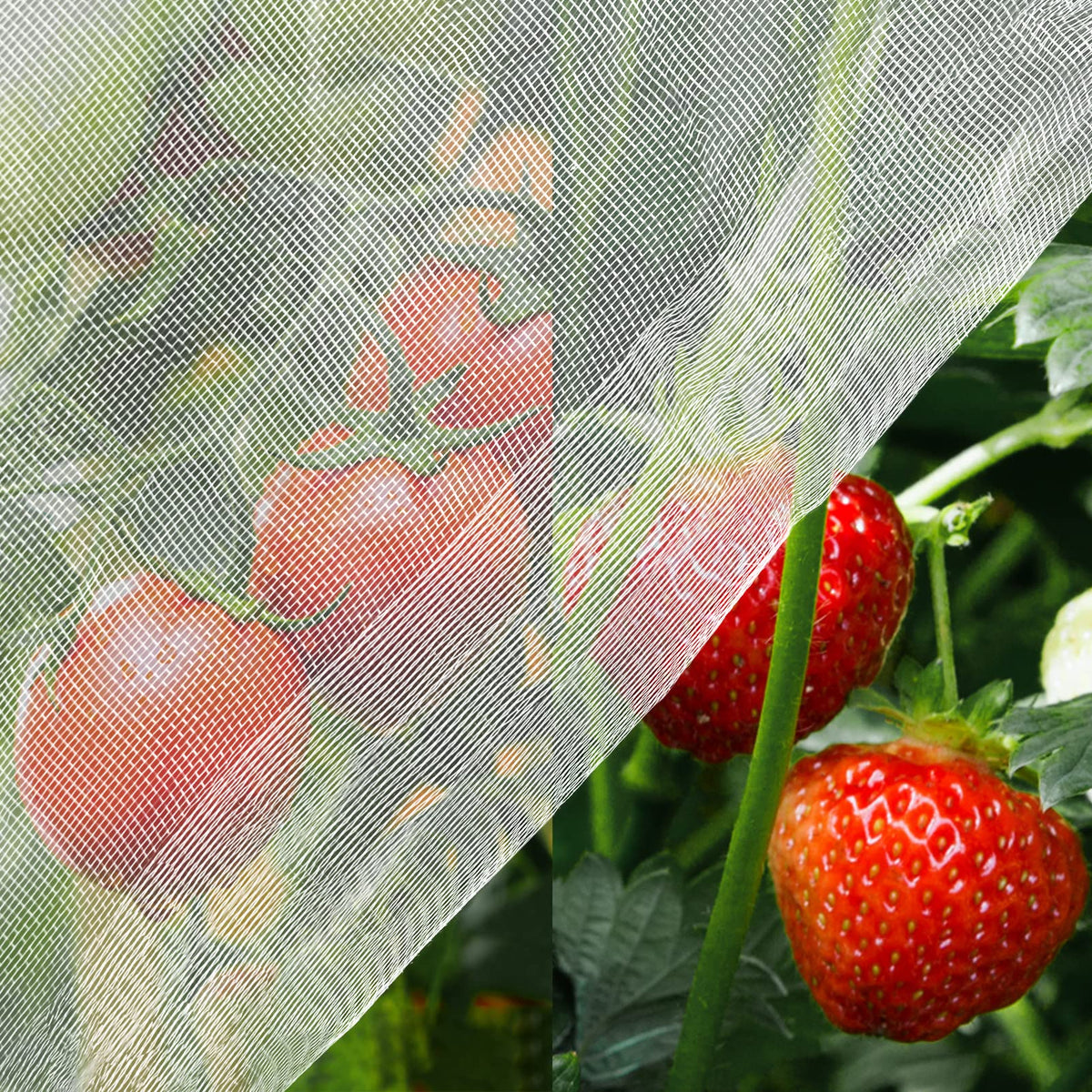 Unves 10' x 30' garden netting in white for plant protection