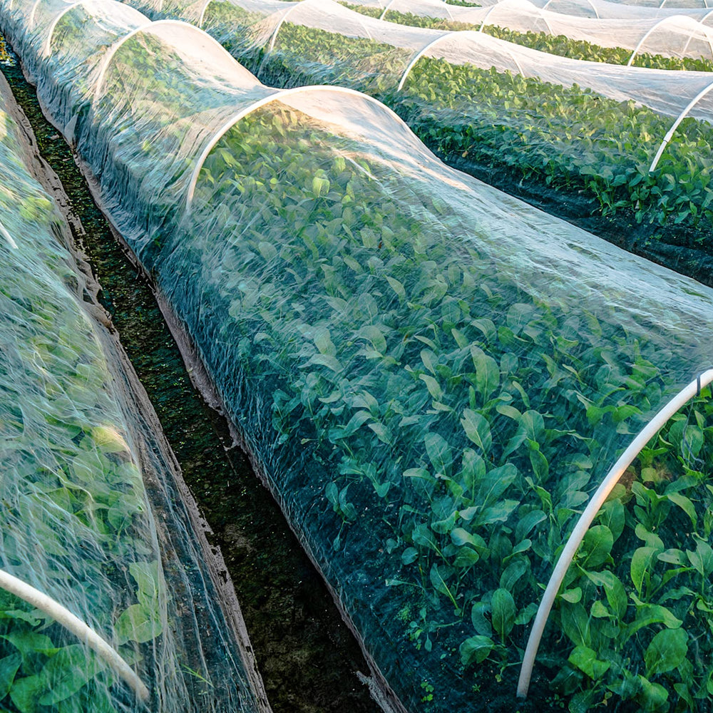 Unves garden netting packaging and dimensions