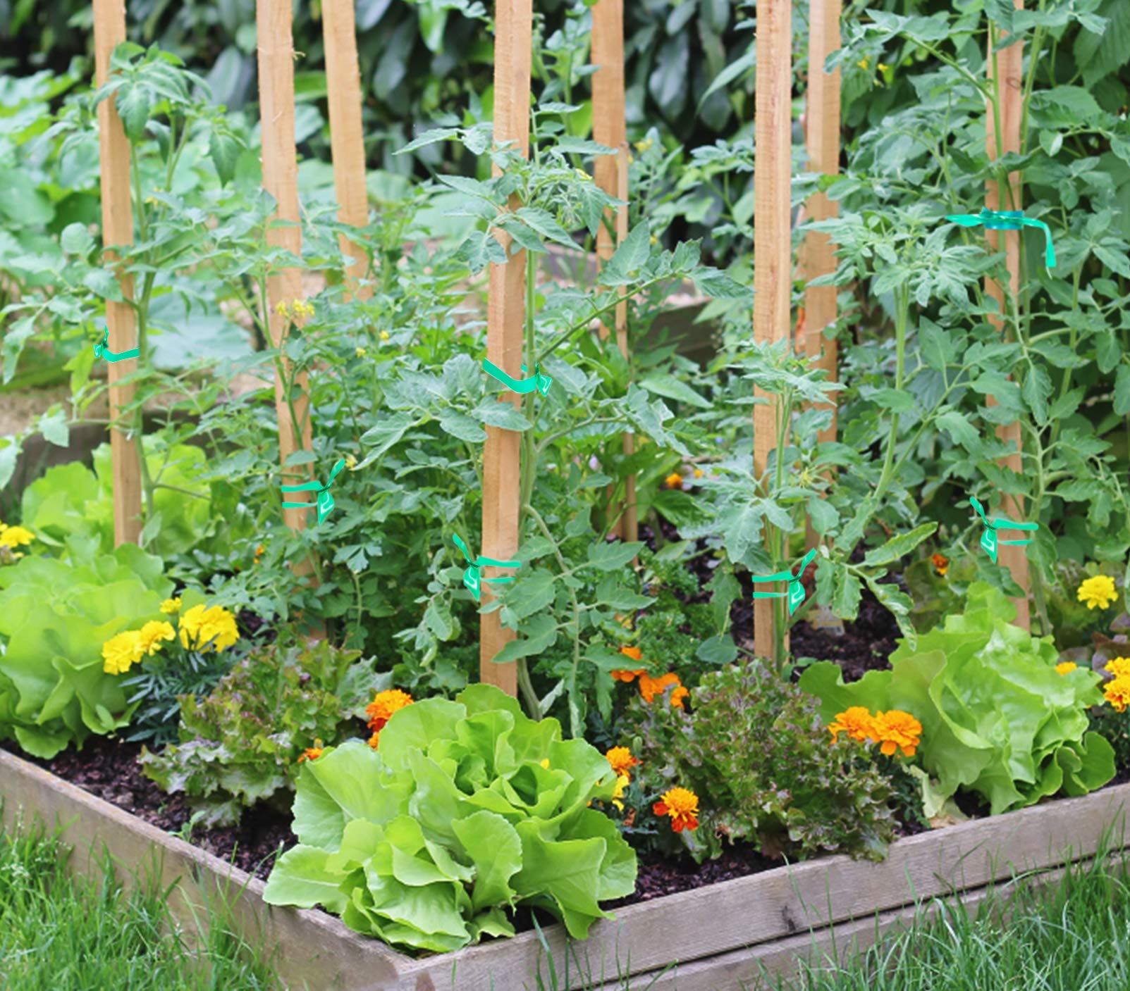 Unves garden tape roll alongside climbing plants