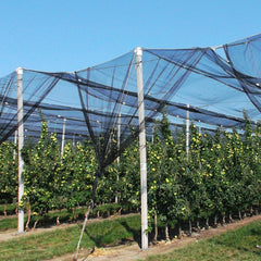 Unves Mosquito Netting draped over garden plants