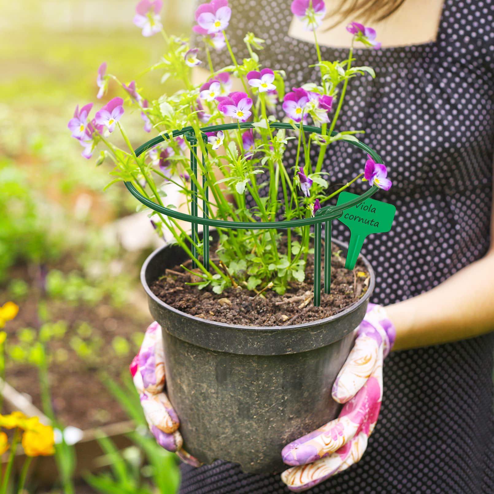 Unves plant support stakes in a lush garden setting