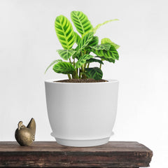 UOUZ 10-inch large plant pot white with drainage holes