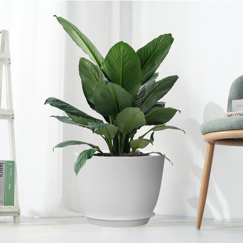 UOUZ 12-inch large plant pot with various indoor plants