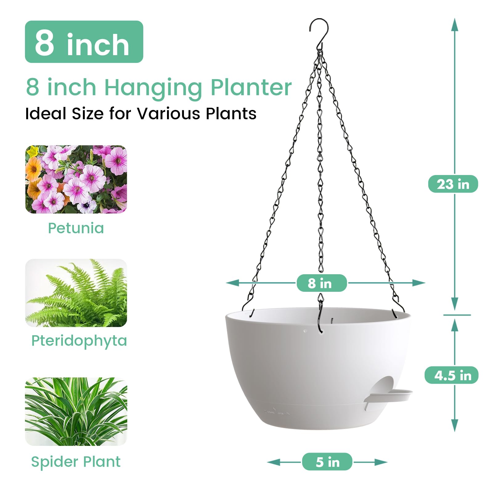 UOUZ 8-inch self-watering planter displaying ivy plant