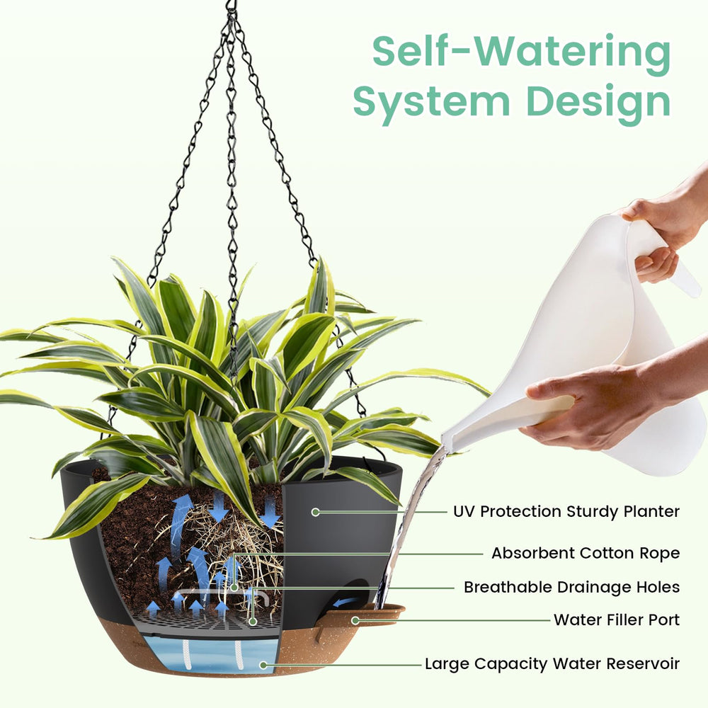 UOUZ hanging basket with multiple plants indoors