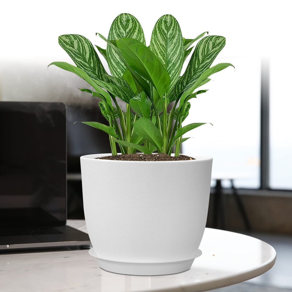 UOUZ large plant pots with various indoor plants
