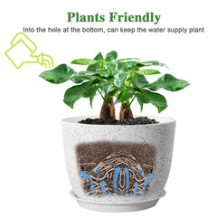 UOUZ modern plastic planter with aloe vera plants