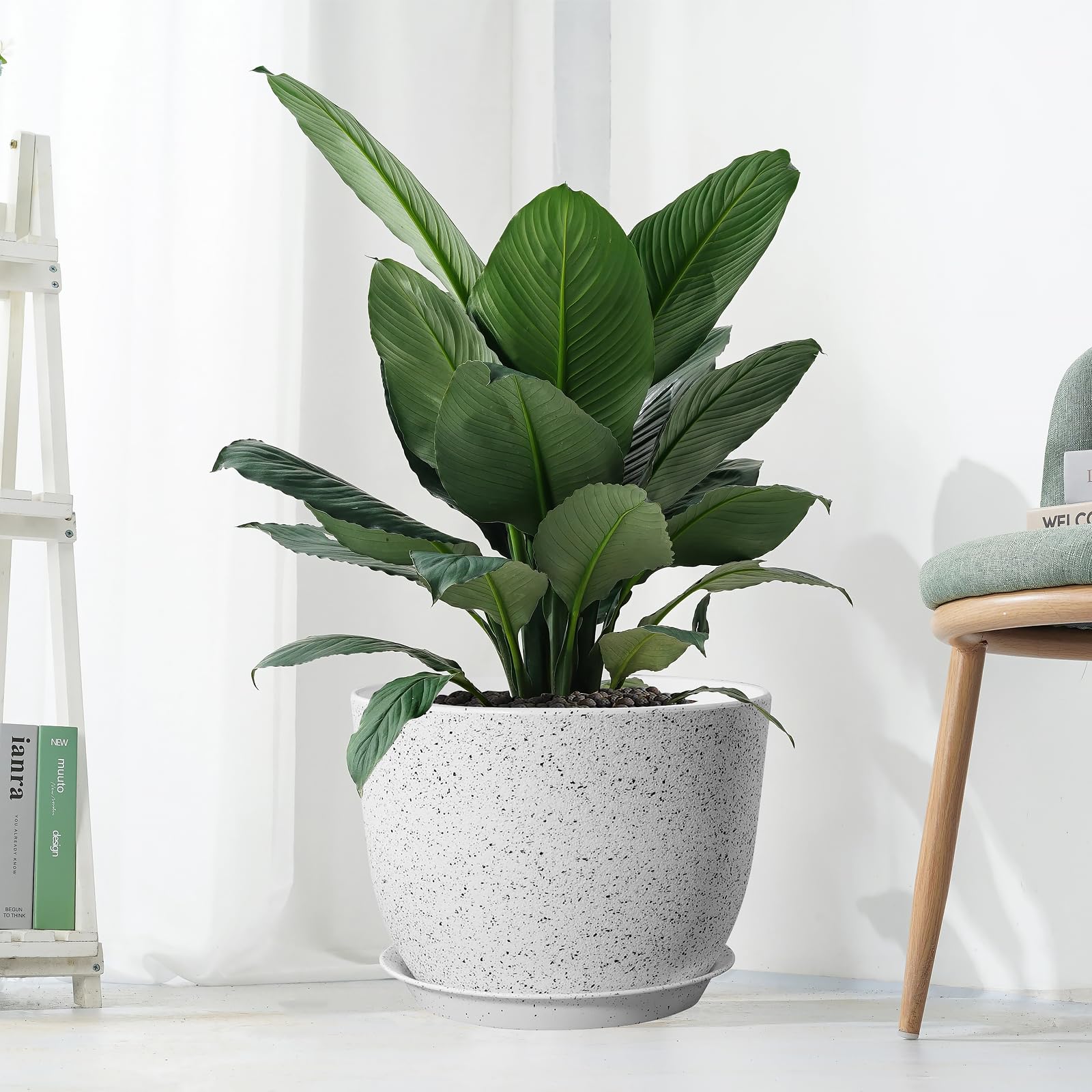 UOUZ plant pot with various houseplants