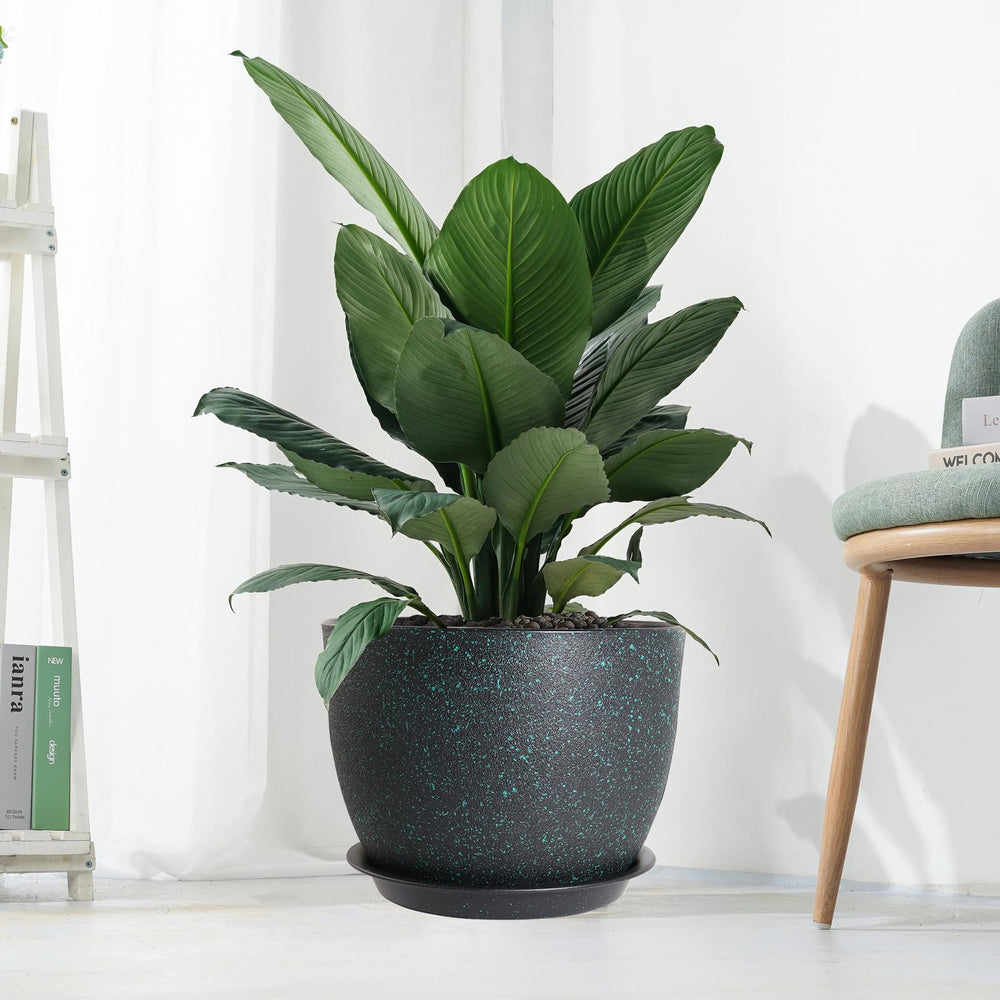UOUZ plant pots with different sizes side by side