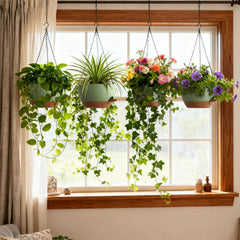 UOUZ self-watering planter with removable tray and drainage holes