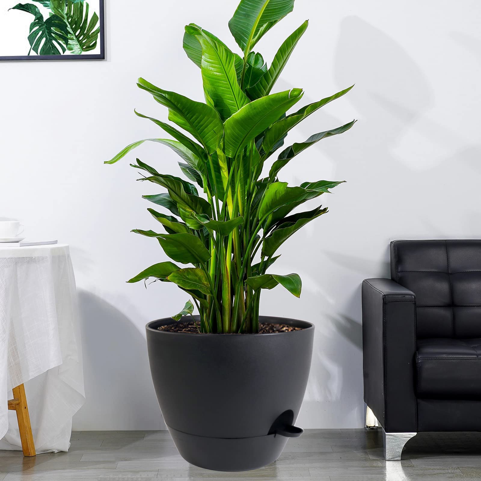 UOUZ self watering pot showcasing top watering feature