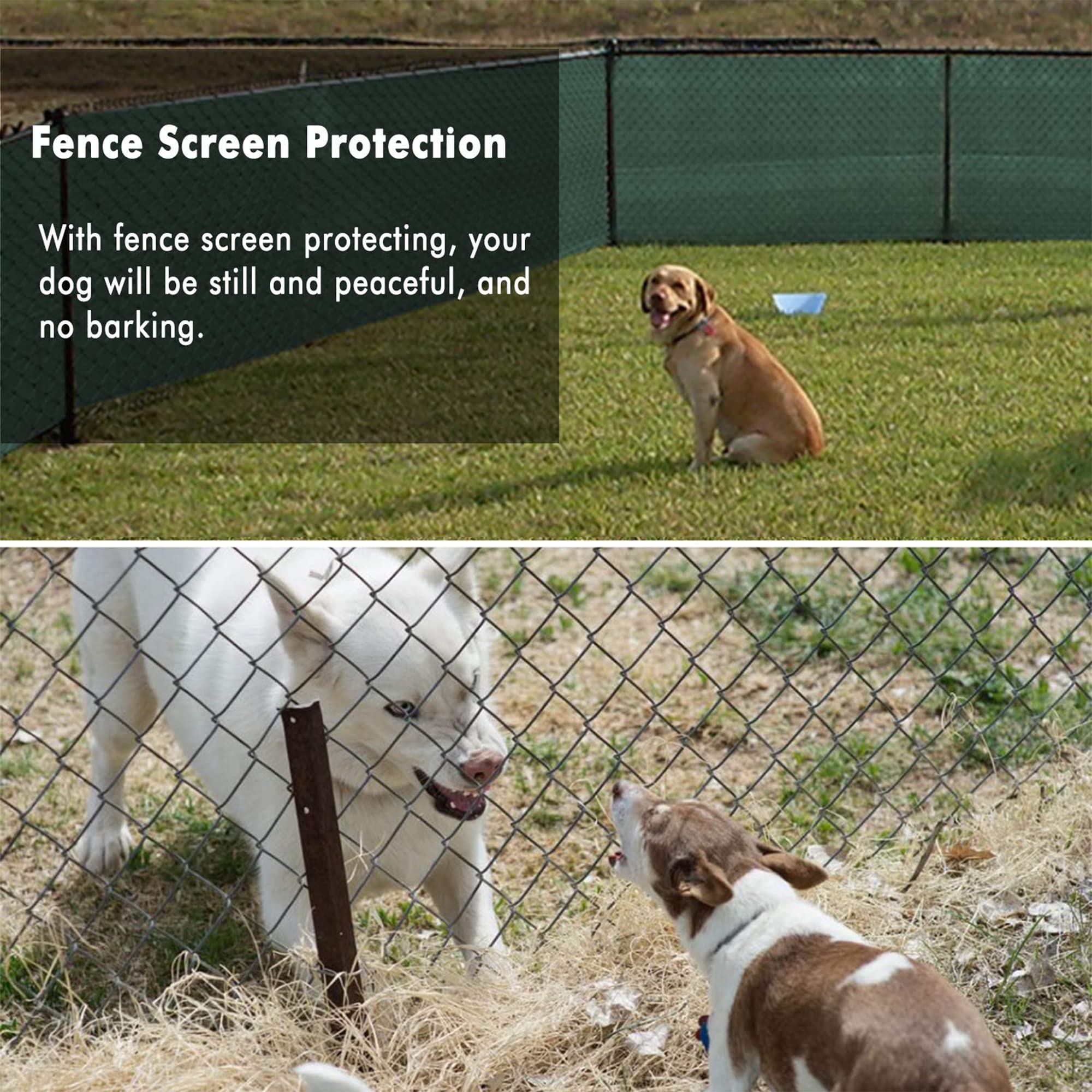 UPGRADE Privacy Screen used to shield plants from wind