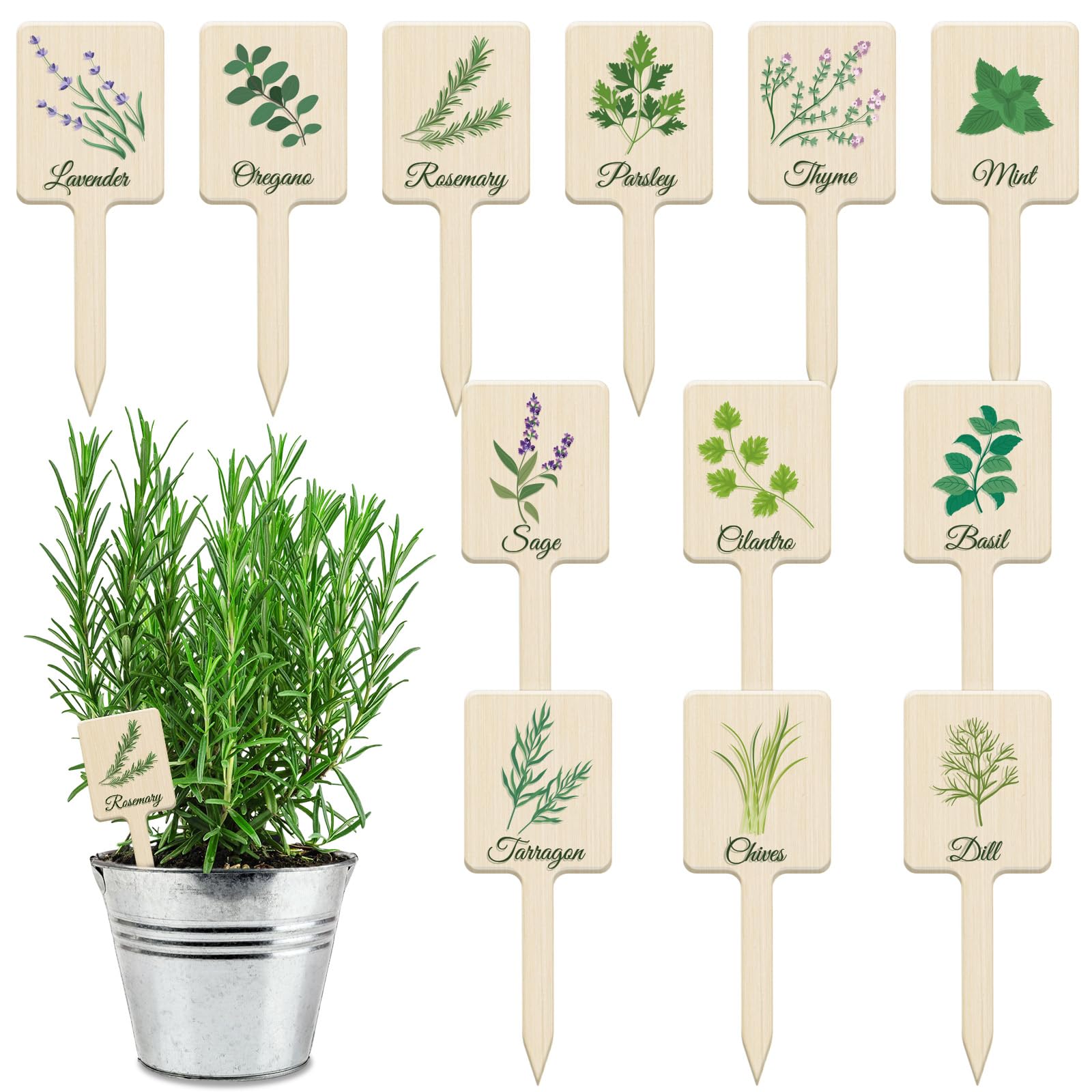 UPINS 24Pcs Acrylic Plant Labels featuring herb names in green