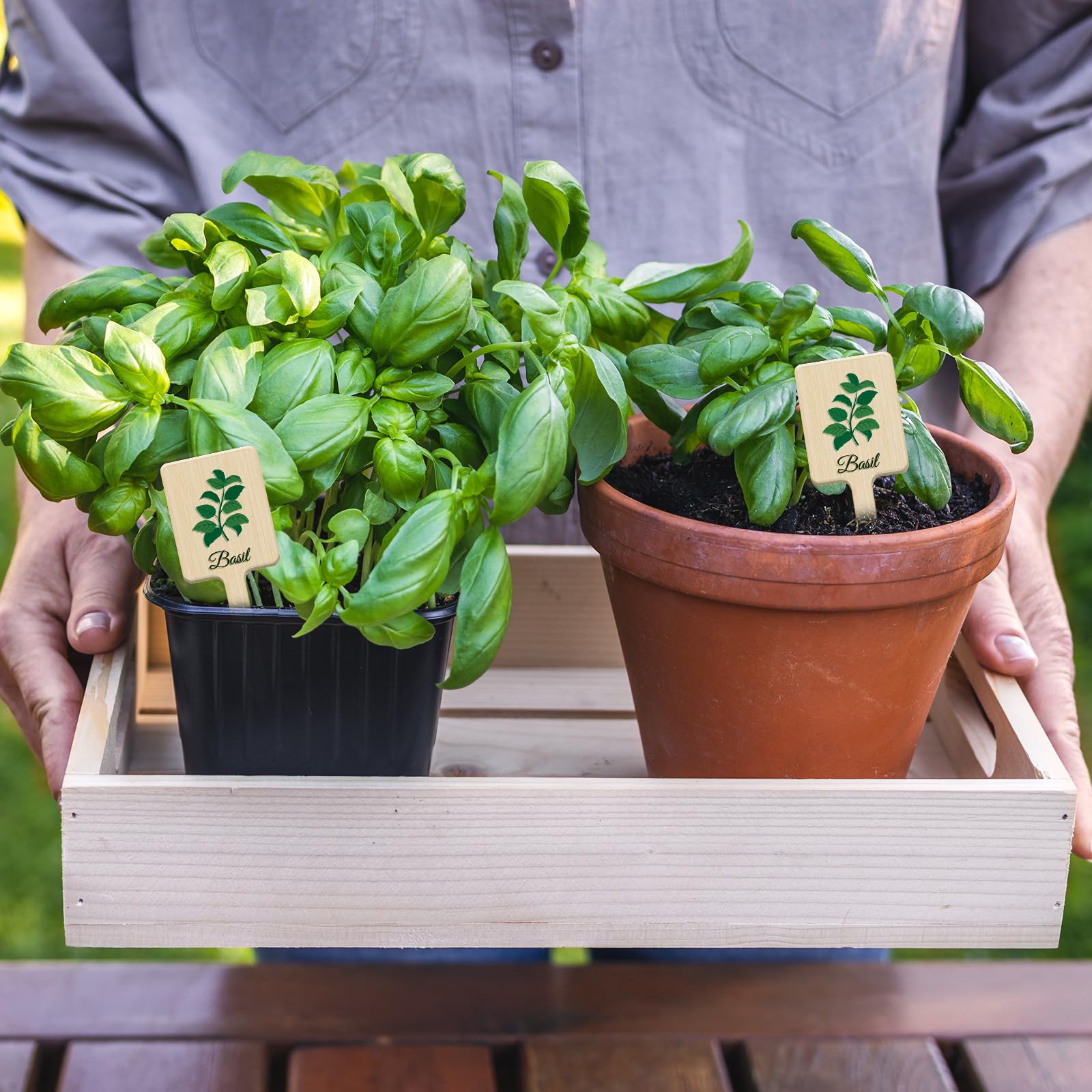 UPINS plant labels with clear herb names suitable for indoor and outdoor gardening