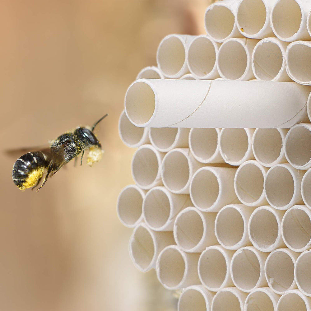URATOT Mason Bee Paper Inserts in natural setting