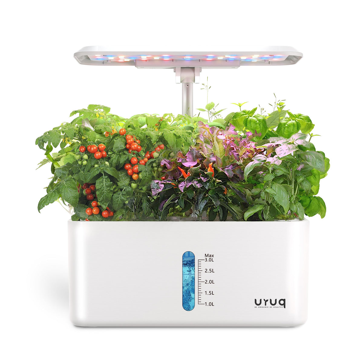 URUQ hydroponics growing system with LED grow light front view