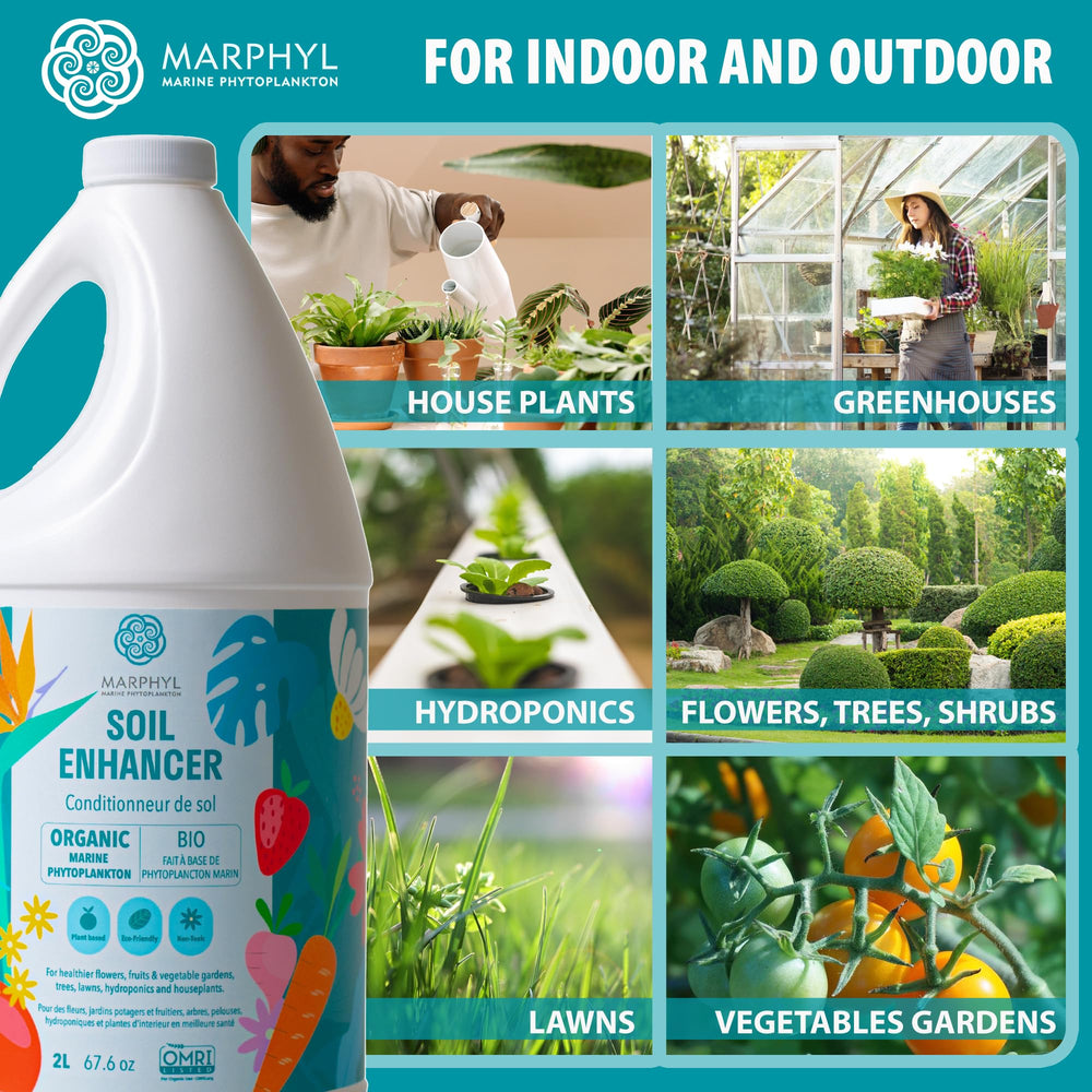 Usage of MARPHYL liquid fertilizer in a vibrant garden setting