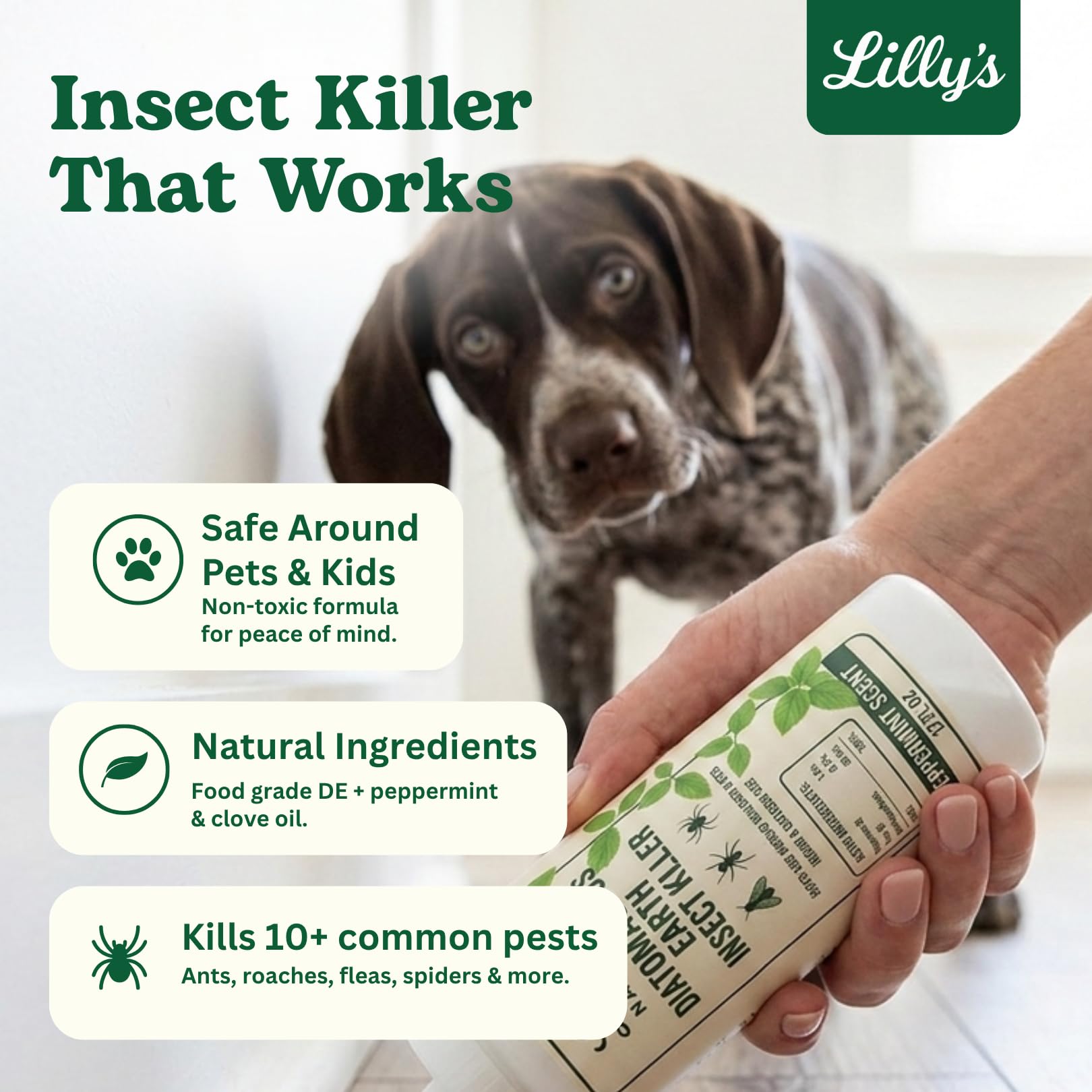 Usage scene of Lilly's Naturals Diatomaceous Earth on carpet