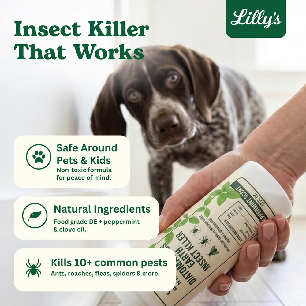 Usage scene of Lilly's Naturals Diatomaceous Earth on carpet