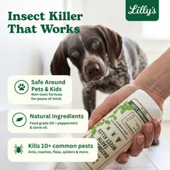 Usage scene of Lilly's Naturals Diatomaceous Earth on carpet