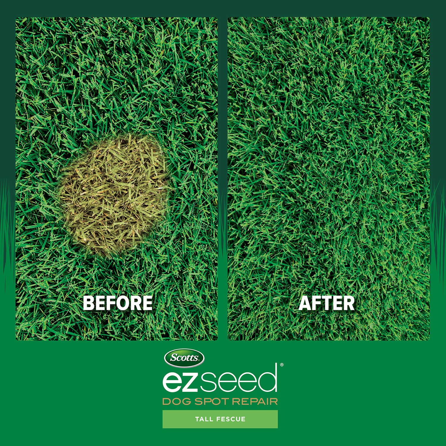 User applying Scotts EZ Seed Dog Spot Repair on lawn