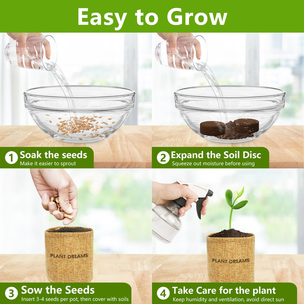 User manual for the LUOJIBIE Bonsai Tree Kit