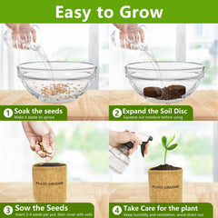 User manual for the LUOJIBIE Bonsai Tree Kit