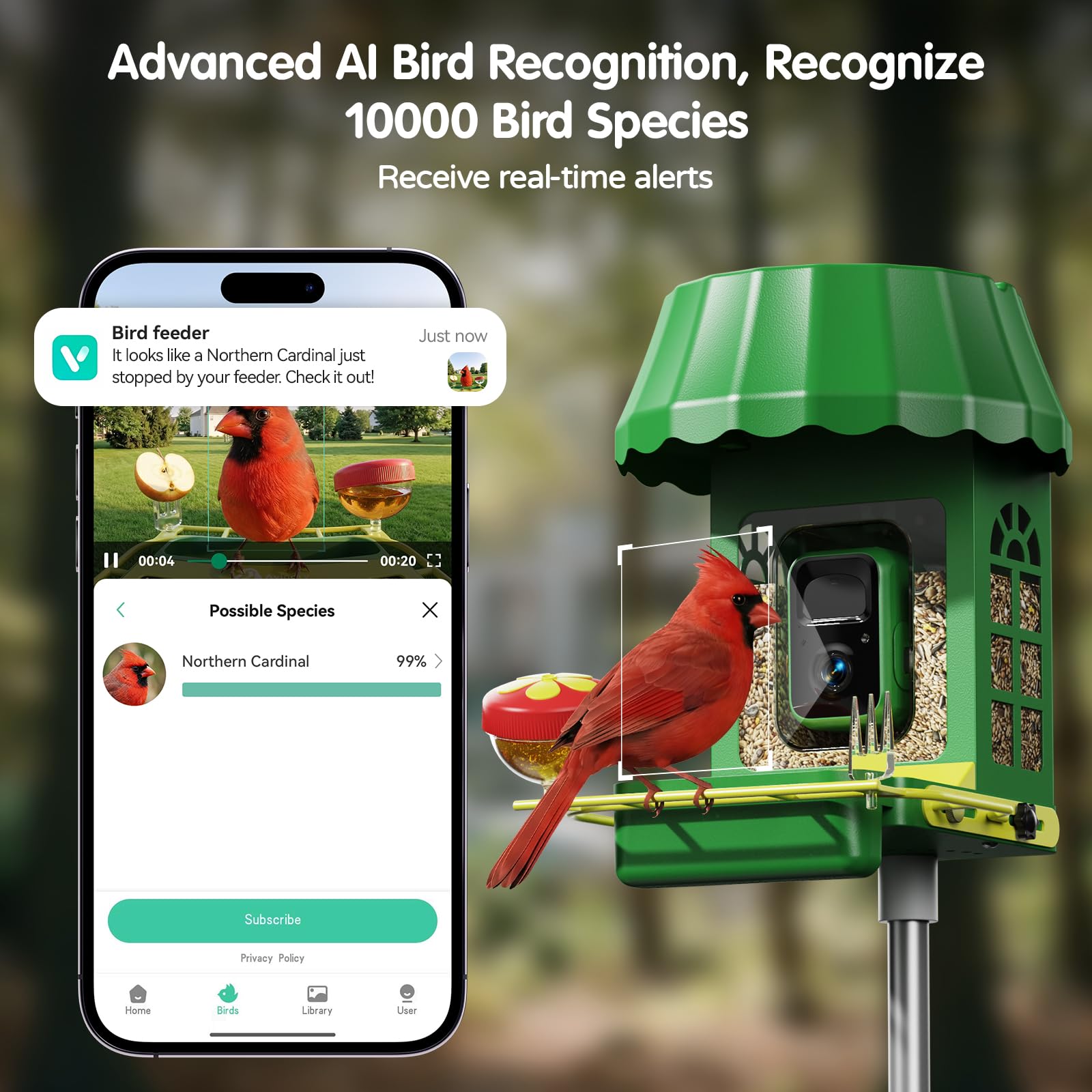 User smartphone displaying live stream from bird feeder