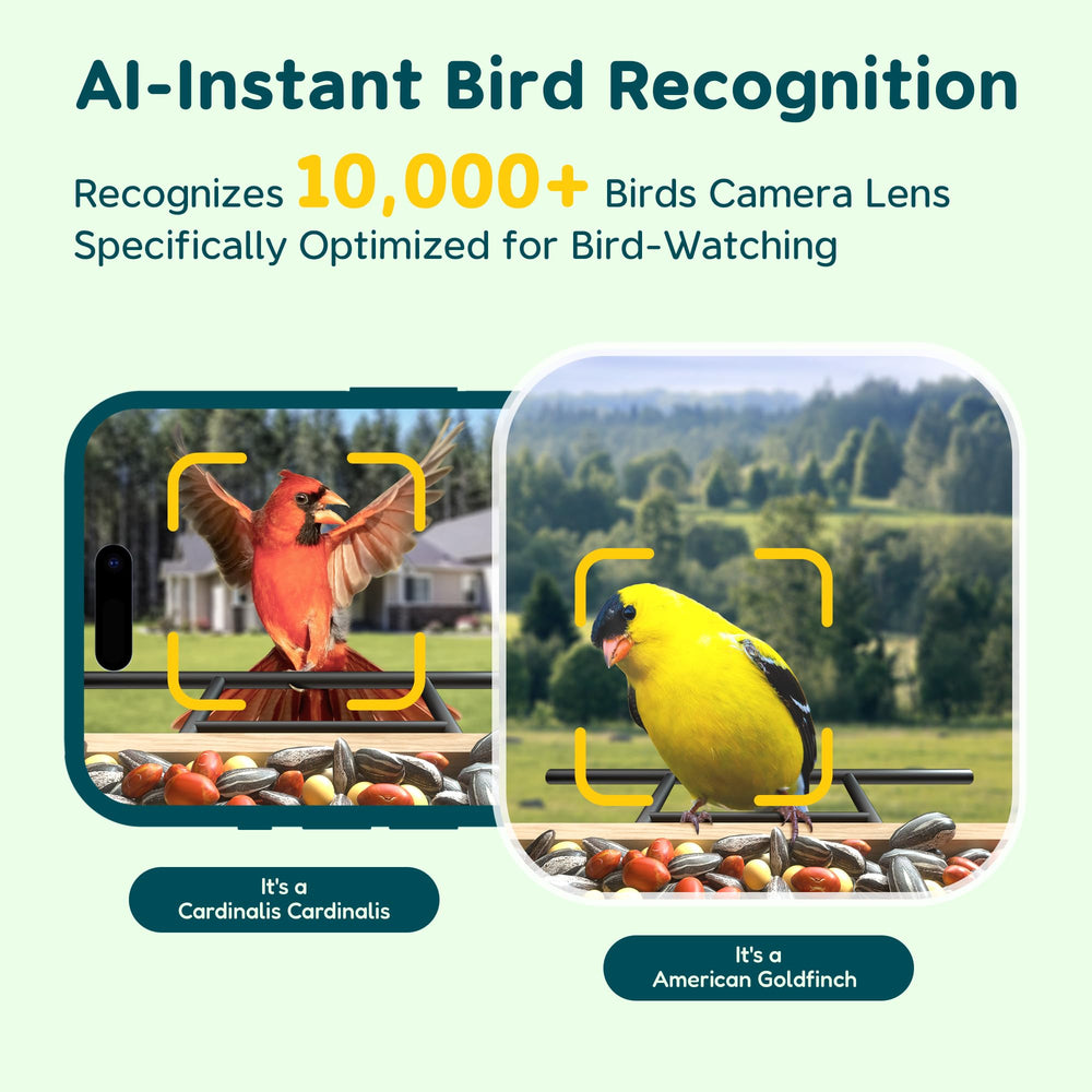 User viewing live footage on smartphone from TT Nature Bird Feeder