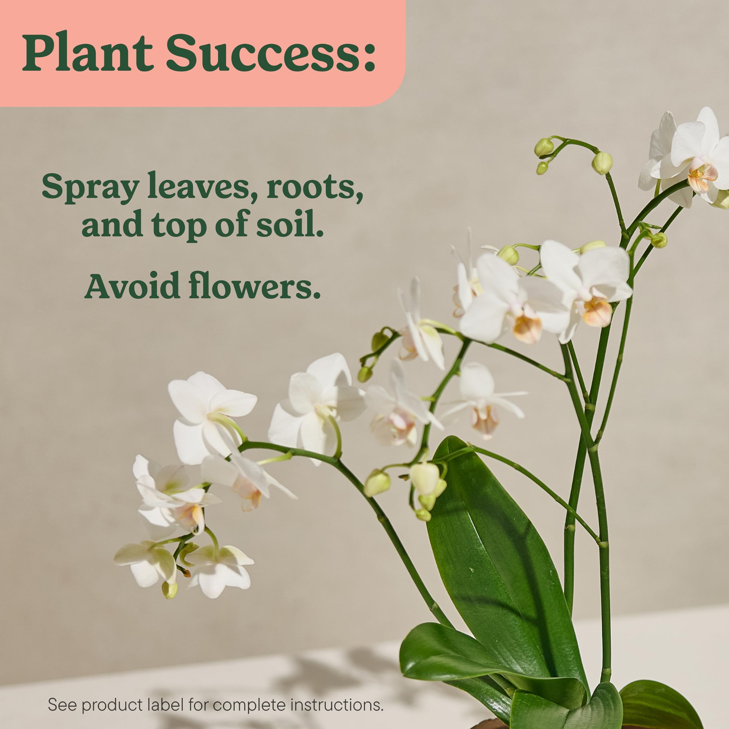 Using Miracle-Gro mist on various indoor orchid plants