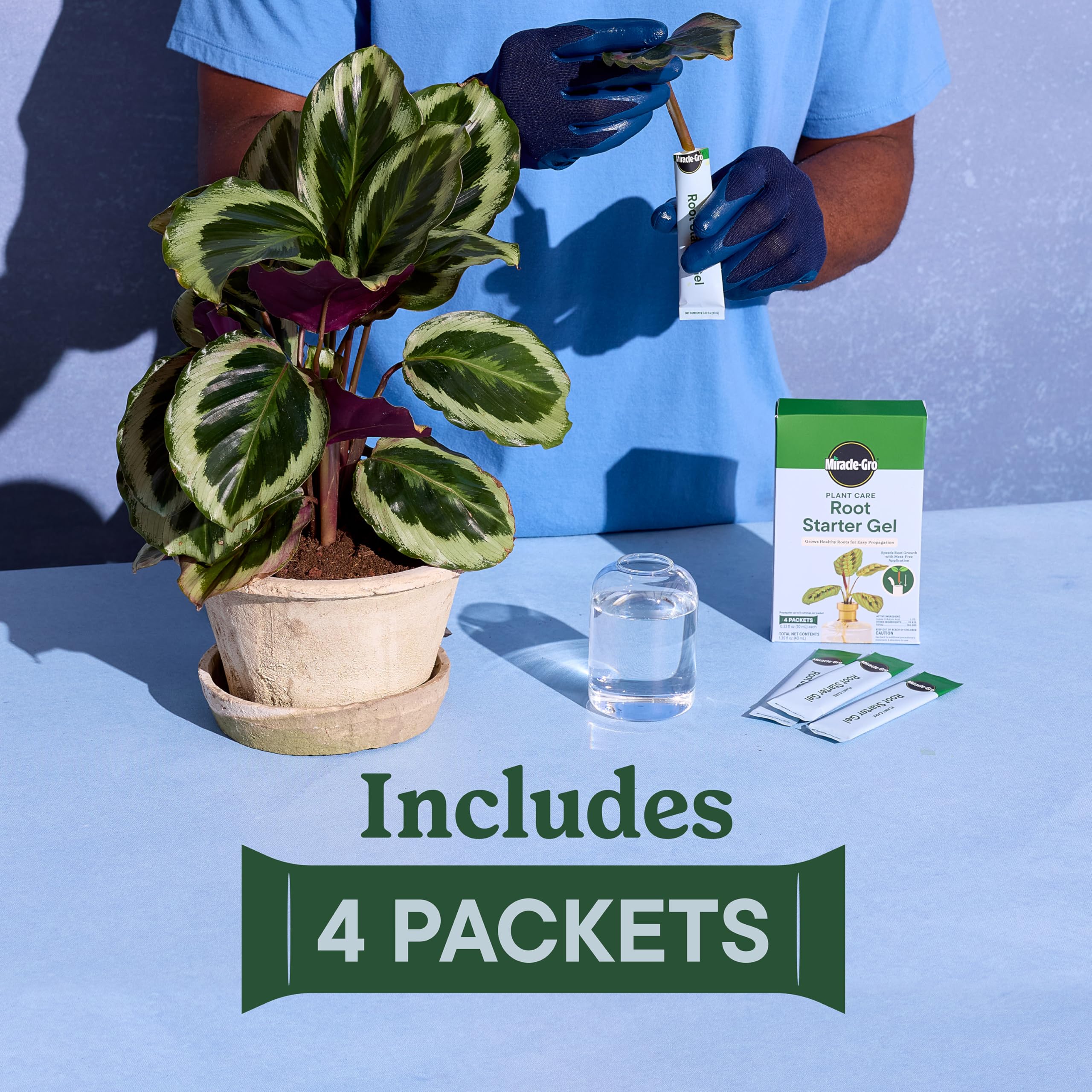 Using Miracle-Gro Root Starter Gel on plant cuttings