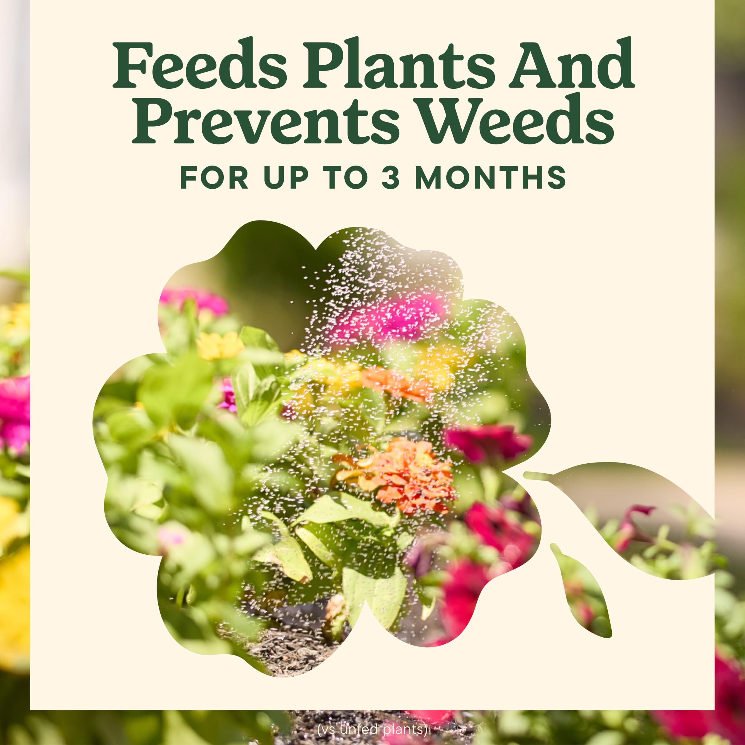 Using Miracle-Gro Shake 'N Feed in a garden bed