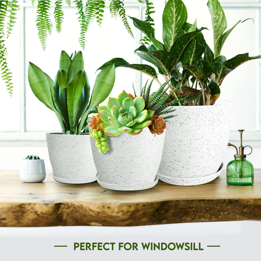 Utopia Home plant pots displayed in a rustic setting