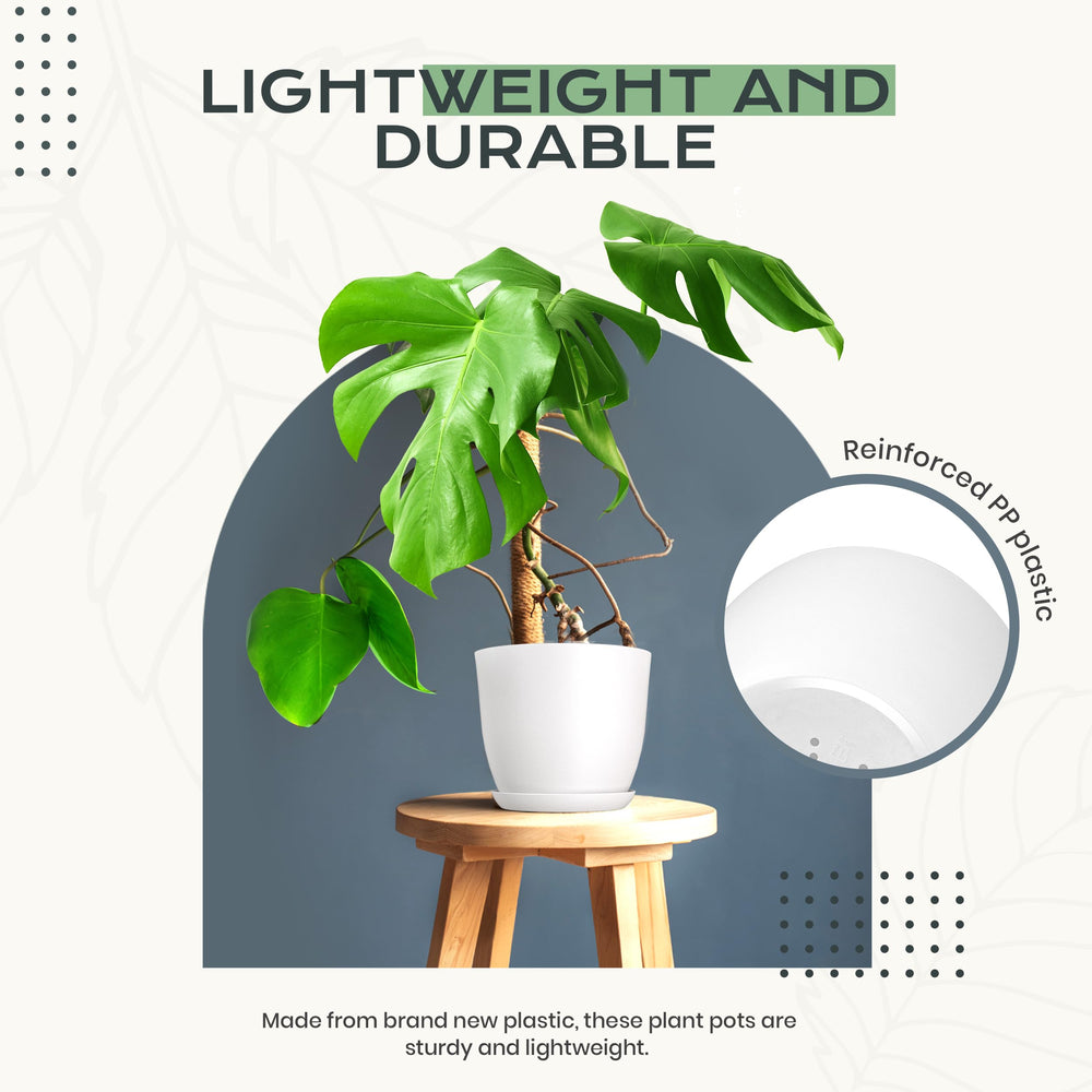 Utopia Home plant pots with plants growing inside