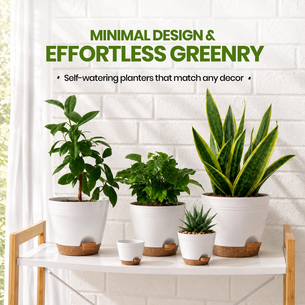 Utopia Home Self Watering Pot 5.5 inches with greenery inside