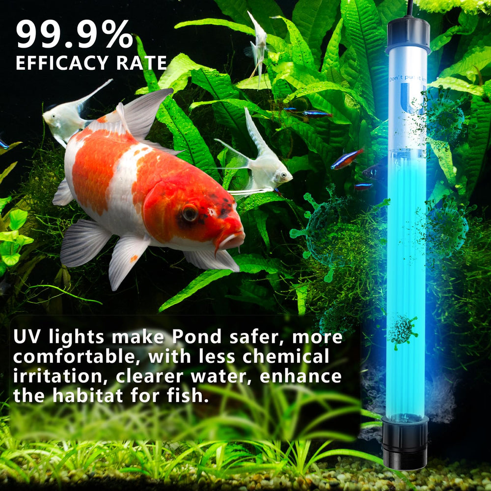 uvcoolplunge 32W Pond UV Light in a pool setting