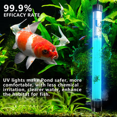 uvcoolplunge 32W Pond UV Light in a pool setting