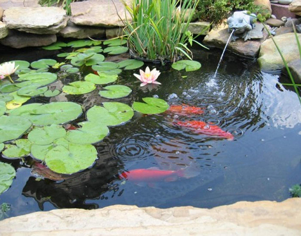 UWIOFF Pond Liner 10 x 13 FT rolled up on a lawn