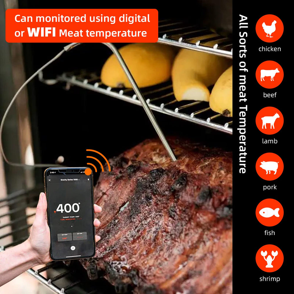 VAGLOBA Meat Probe set ready for grilling