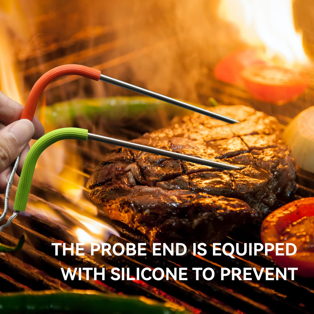 VAGLOBA Meat Probes beside Masterbuilt grill