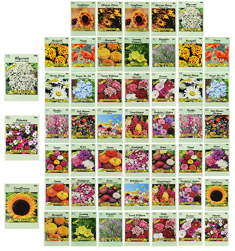Valley Greene assorted flower seed packets front view