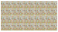 Valley Greene assorted flower seed packets set of 1000