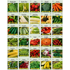 Valley Greene Deluxe Vegetable Garden Seeds pack front view