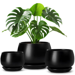vancasso 3-Pack Ceramic Plant Pots, 3.7 inch, front view