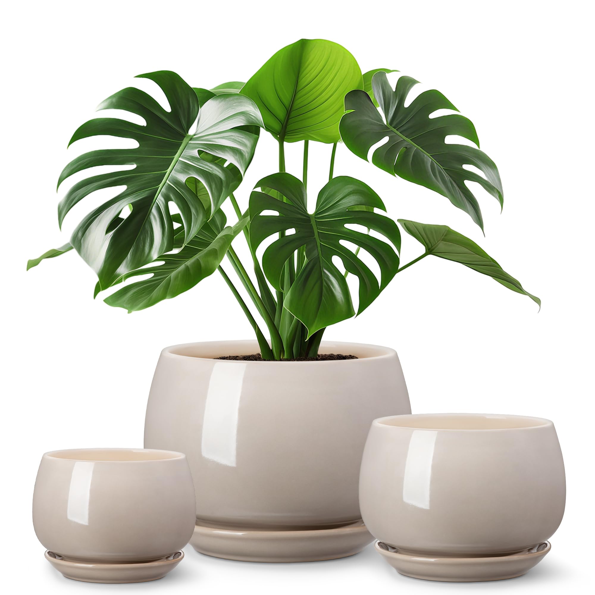vancasso 3-Pack Ceramic Plant Pots set including 3.7, 4.8, and 6.2 inch pots in gray